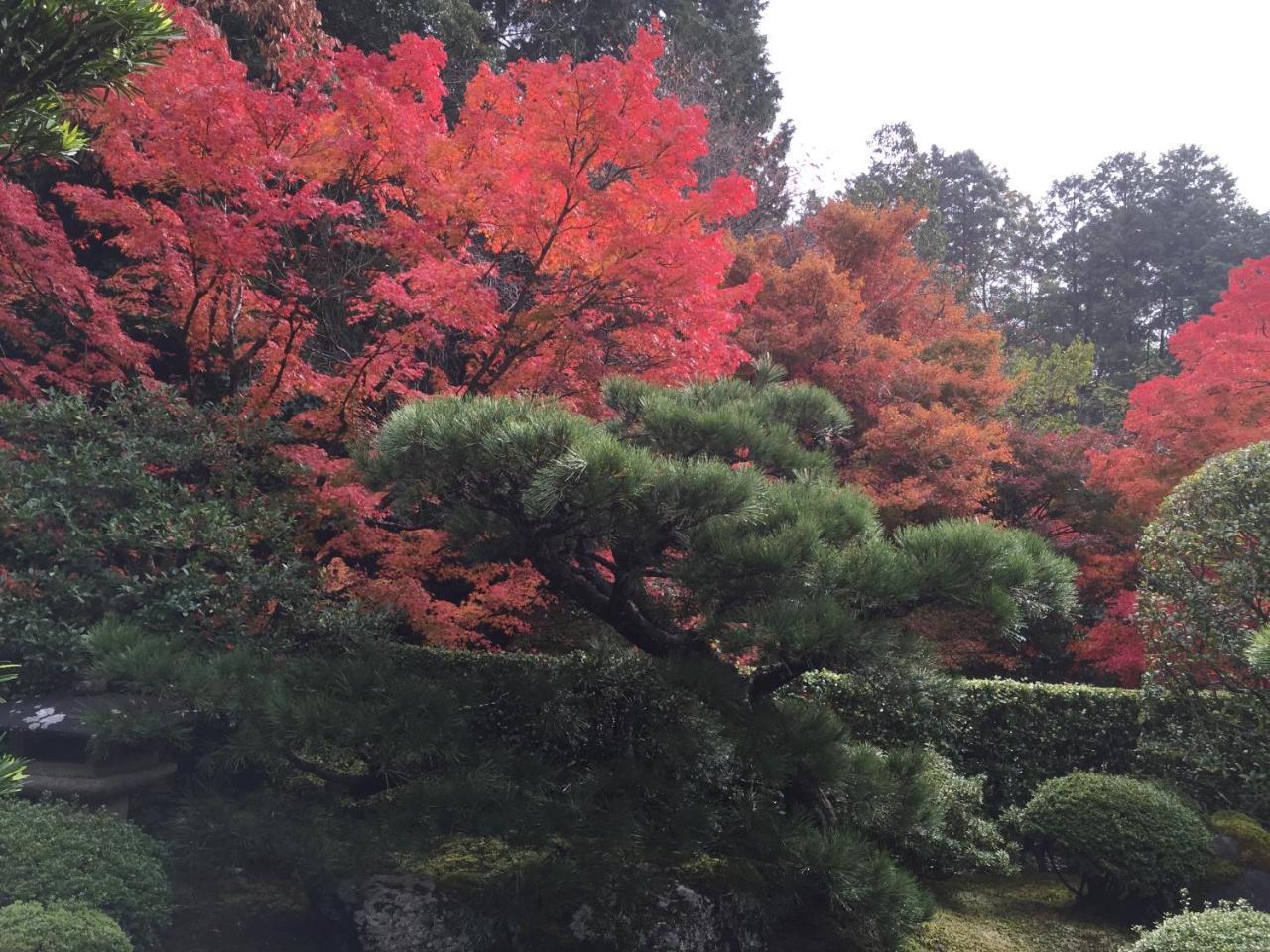 Ryokan Yamazaki Kyoto Bagian luar foto
